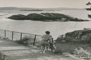 Bilde av Brua til Natholmen og Knattholmen